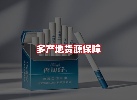 专业团队